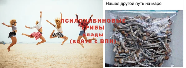 прущие грибы Волосово