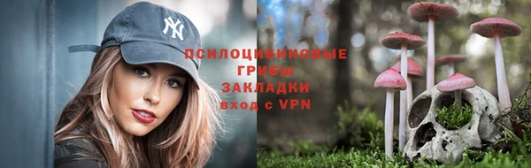 прущие грибы Волосово